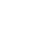Einstein Bikes